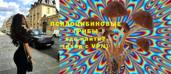 a pvp Липки